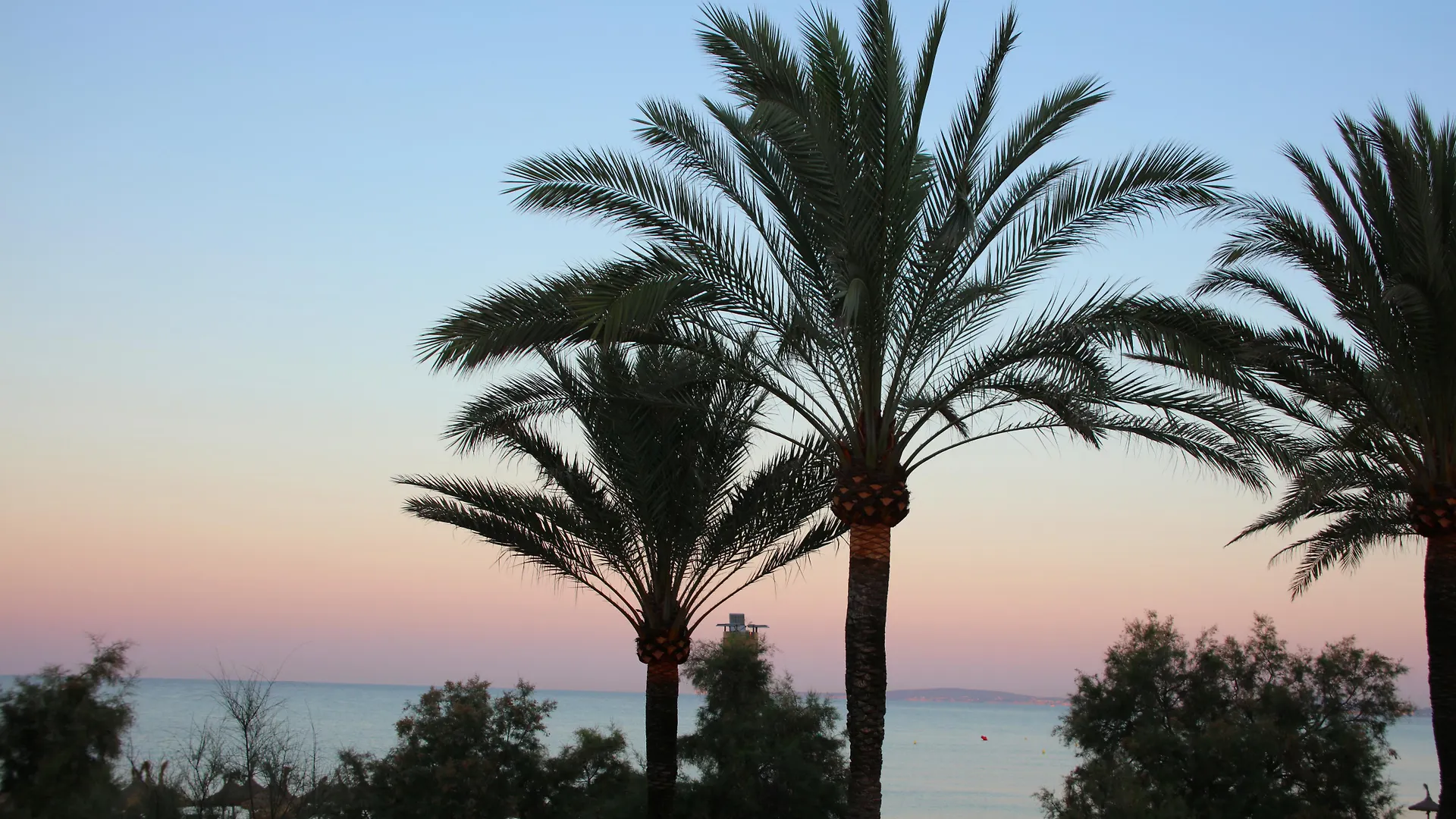 Iberostar Waves Bahia De Palma - Adults Only Hotel Playa de Palma